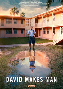 戴维成长记第二季